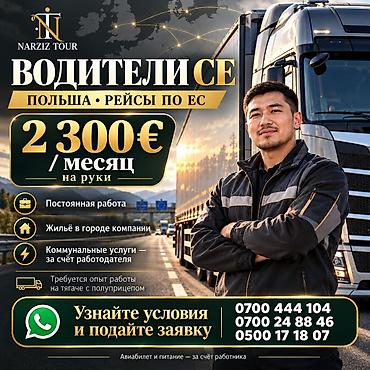 польский язык: Водитель CE — Польша, рейсы по ЕС 🇵🇱 ВОДИТЕЛЬ-МЕЖДУНАРОДНИК CE 💶 — 1