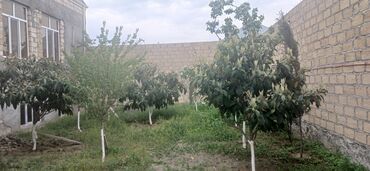 Bağ evlərinin satışı: Gəncə, 610 kv. m, 6 otaqlı, Hovuzsuz, Kanalizasiya -da lalafo.az — 9 Bağ evlərinin satışı: Gəncə, 610 kv. m, 6 otaqlı, Hovuzsuz, Kanalizasiya — 9