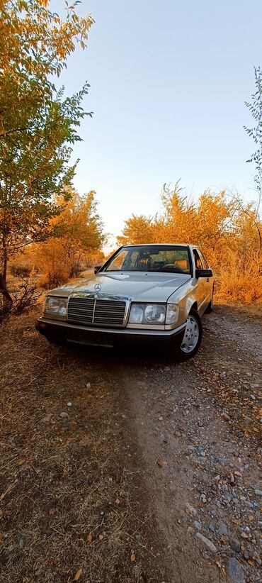 222 кузов: Mercedes-Benz W124: 1989 г., 2.3 л, Автомат, Бензин, Седан