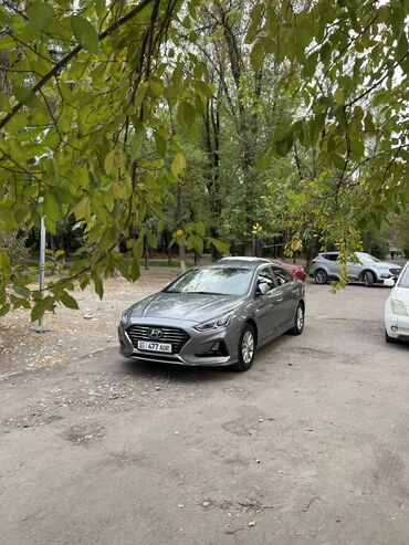 дом на колесах цена бу: Hyundai Sonata: 2018 г., 2 л, Автомат, Газ, Седан