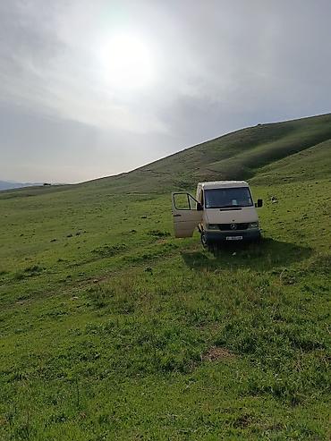 ступенька на спринтер: Легкий грузовик, Mercedes-Benz, Стандарт, 2 т, Б/у — 1