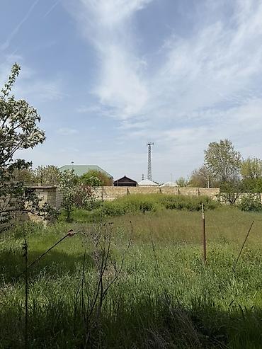 Kommersiya daşınmaz əmlakının satışı: Kommersiya daşınmaz əmlakının satışı -da lalafo.az — 24 Kommersiya daşınmaz əmlakının satışı: Kommersiya daşınmaz əmlakının satışı — 24