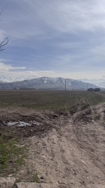 Продажа участков: 385 соток, Для сельского хозяйства, Договор дарения — 6