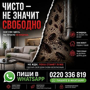 клининн: Комплексное уничтожение тараканов и клопов - Обработка квартир, домов — 1
