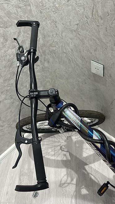 Dağ velosipedləri: CHAMPION dağ velosipedi - Çərçivə: yüngül alaşımlı (alüminium tipli) — 10