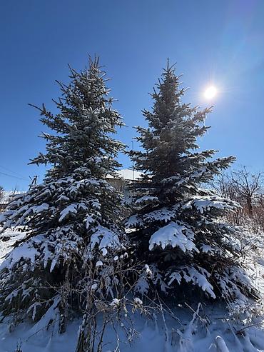 Продажа коттеджей и домов: 🏔 ПРОДАЁТСЯ УЧАСТОК В С. ГОРНАЯ МАЕВКА 📐 Площадь по документам — 13,5 — 19