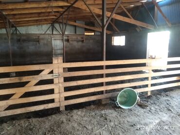 Сельхоз предприятия: Продаю Кошара, 50 соток, Действующий, Частично с оборудованием — 7
