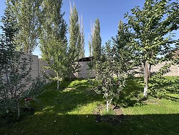 Долгосрочная аренда домов: 150 м², 5 комнат, Парам без детей — 15