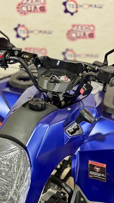 Квадроциклы: Квадроцикл Бензин, 320 куб. см, Взрослый — 4