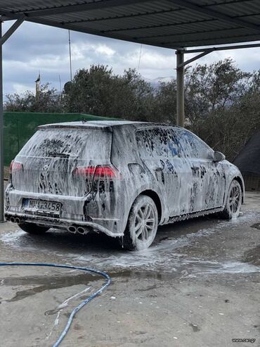 Volkswagen: Volkswagen Golf: 1.6 l. | 2017 έ. Χάτσμπακ — 4