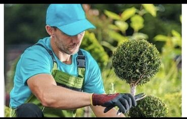 Toxumlar: SALAM HƏR KƏSƏ BAGLARİN TƏMİSLƏNMƏSİ AĞACLARİN BUDANMASİ QAZONLARİN