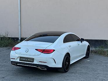 Mercedes-Benz: Mercedes-Benz CLS-Class: 2019 г., 2 л, Автомат, Дизель, Седан — 9