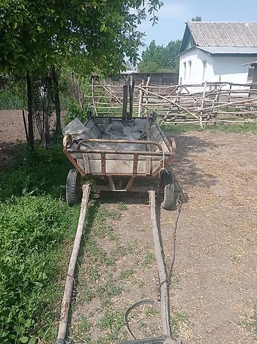 ат пони: Телега конная с полозьями и упряжью - Двухосная телега для — 2