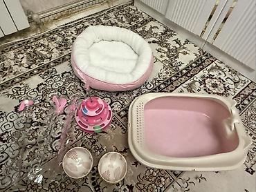 НОВЫЙ Набор для котёнка/кошки (розовая серия): НОВОЕ🩷 - Лежанка