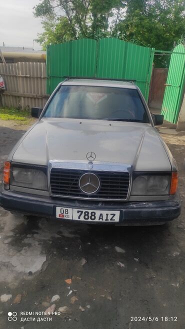 Mercedes-Benz: Mercedes-Benz 250: 1988 г., 2.5 л, Механика, Дизель, Универсал