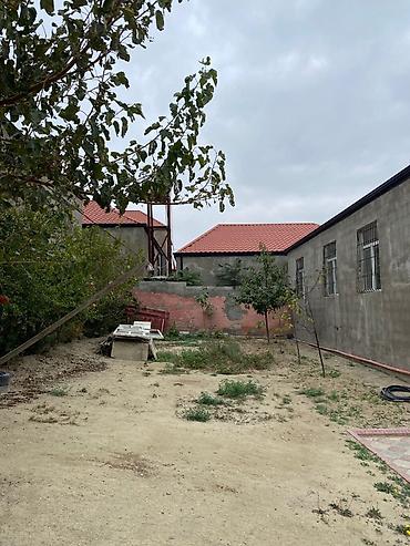 zig evler: 2 sot, Tikinti, Mülkiyyətçi — 4