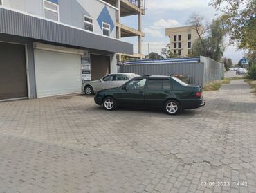 Volkswagen: Volkswagen Vento: 1995 г., 1.9 л, Механика, Дизель, Седан