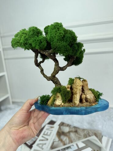 Декоративные цветы: Бонсай ручной работы из натурального стабилизированного мха от 1500 — 35