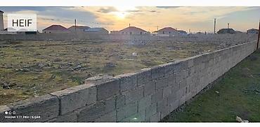 Torpaq sahələrinin satışı: Tikinti, Kupça (Çıxarış) — 13