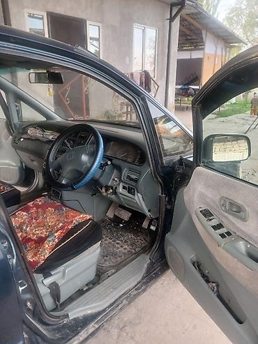 Honda: Honda Odyssey: 1995 г., 2.3 л, Автомат, Бензин, Универсал — 5