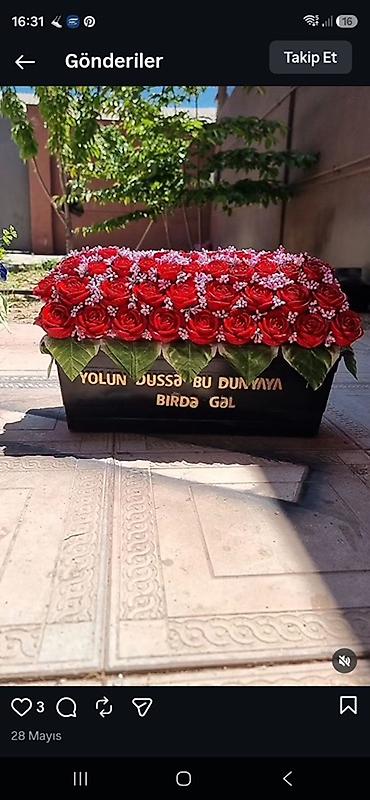 lent gul: Məzarüstü dekorativ daş güllər 
Ağ və qara dibçəkdə — 1