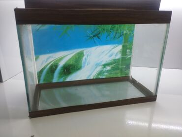 Dördbucaq akvarium, Boş, 1 l, Ünvandan götürmə
