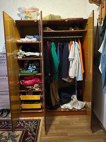 Dolablar: Üç qapılı klassik paltar şkafı - Material: taxta karkas, laklı parlaq — 2
