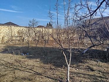 goradil: 4 sot, Tikinti, Maklerlər narahat etməsin, Kupça (Çıxarış) — 5