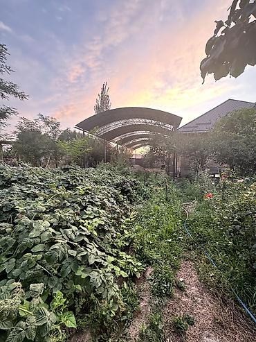 мечит: 🏡 Продается дом в Сокулуке.(верхняя зона) 🌿 Участок — 11 соток 📌На — 3