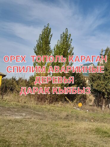 ростки цветов: ОРЕХ ТОПОЛЬ УДАЛЕНИЕ СПИЛ АВАРИЙНЫХ ДЕРЕВЬЕВ
ДАРАК КЫЯБЫЗ
