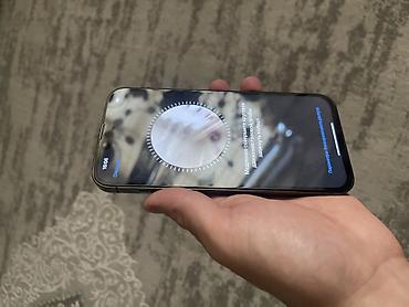Apple iPhone: IPhone 13 Pro Max, 128 ГБ, Графит — 8