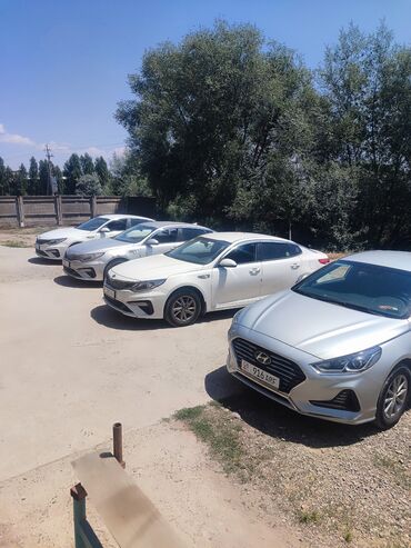 рассрочка авто бишкек без первоначального взноса: Kia K5: 2019 г., 2 л, Автомат, Газ, Седан
