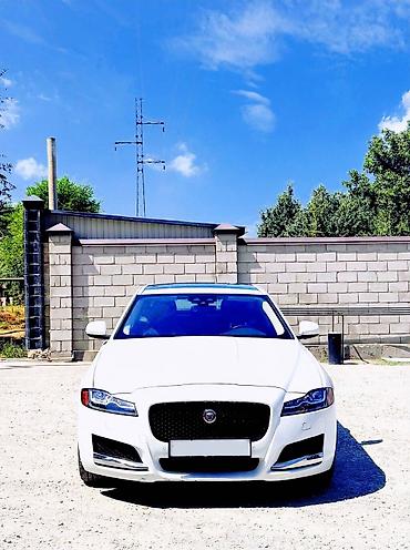 Aston Martin: Jaguar XF: 2020 г., Автомат, Седан — 4