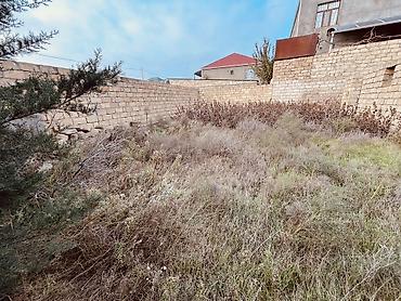 mehemmedi torpaq satilir: 4 sot, Tikinti, Mülkiyyətçi, Kupça (Çıxarış) — 6