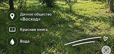 Жер тилкелерин сатуу: 5 соток, Айыл чарба үчүн, Кызыл китеп — 3