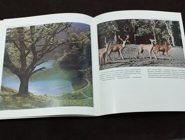 Digər kitablar və jurnallar: *1977* çi il. "" Советский Азербайджан"" ölçü 22/23. Fotoalbom. ( — 6