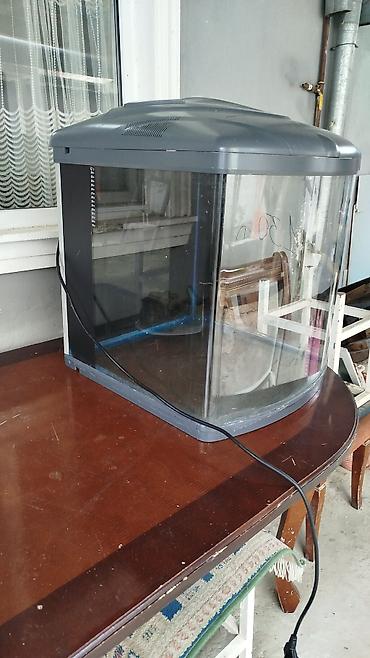 akvarium matoru: Akvael zavod akvarium. 130 litr. Ciddi şəxs narahat etsin — 1