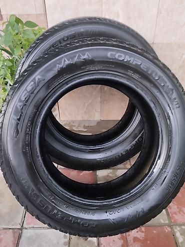 tekerler type 1: Məhsul: Lassa Competus A/T2 (All-Terrain) avtomobil şinləri - Ölçü — 2
