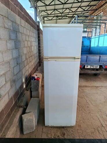 караоке микрафон: Холодильник Gorenje, Двухкамерный, 55 * 170 * 45