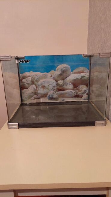 Akvariumlar: Salam tecili akvarim satilir zavod malidir 50 60 litir tutur gence