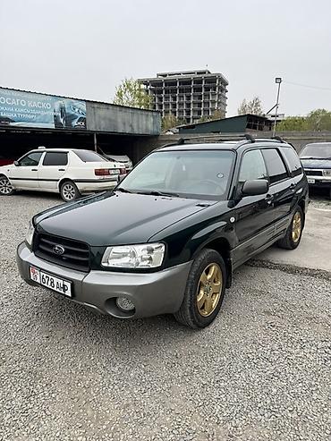 Subaru: Subaru Forester: 2003 г., 2.5 л, Автомат, Бензин, Универсал — 1