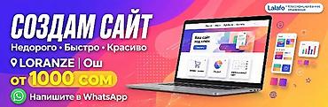 aiphone 13: Веб-сайты | Разработка — 1