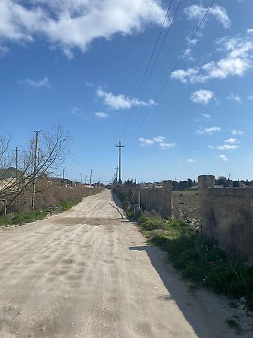 Torpaq: 3 sot, Tikinti, Kupça (Çıxarış) — 10