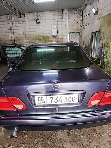 Mercedes-Benz: Mercedes-Benz E-Class: 1996 г., Седан — 13
