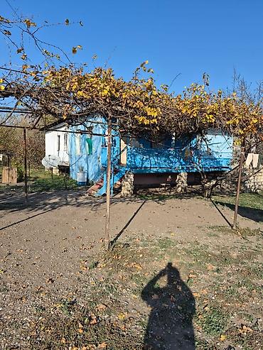 Həyət evləri və villalar: 14 sot torpaq sahesinin içinde yaşayışlı ev köhnə tikili 2yataq otaq 1 — 3