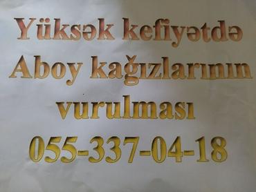 komputer ustası: Aboylarin soyulmasi yüksək keyfiyyətdə vurulmasi — 1