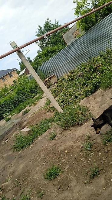 продаю дом село лебединовка: Продаю дом с.Ленинское вторая линия от Алматинской. участок 7 соток — 2