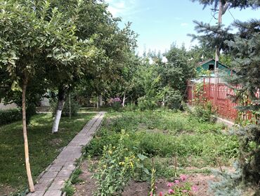 Продажа домов: Дом, 1000 м², 5 комнат, Собственник, Косметический ремонт — 15