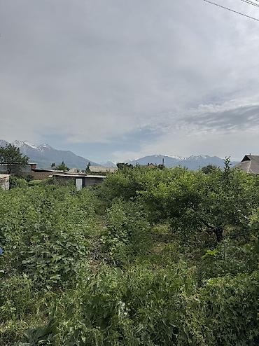 бир: 5 соток, Курулуш, Кызыл китеп — 4