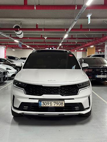 молдинг 124: Kia Sorento: 2020 г., 1.6 л, Вариатор, Гибрид, Кроссовер — 3